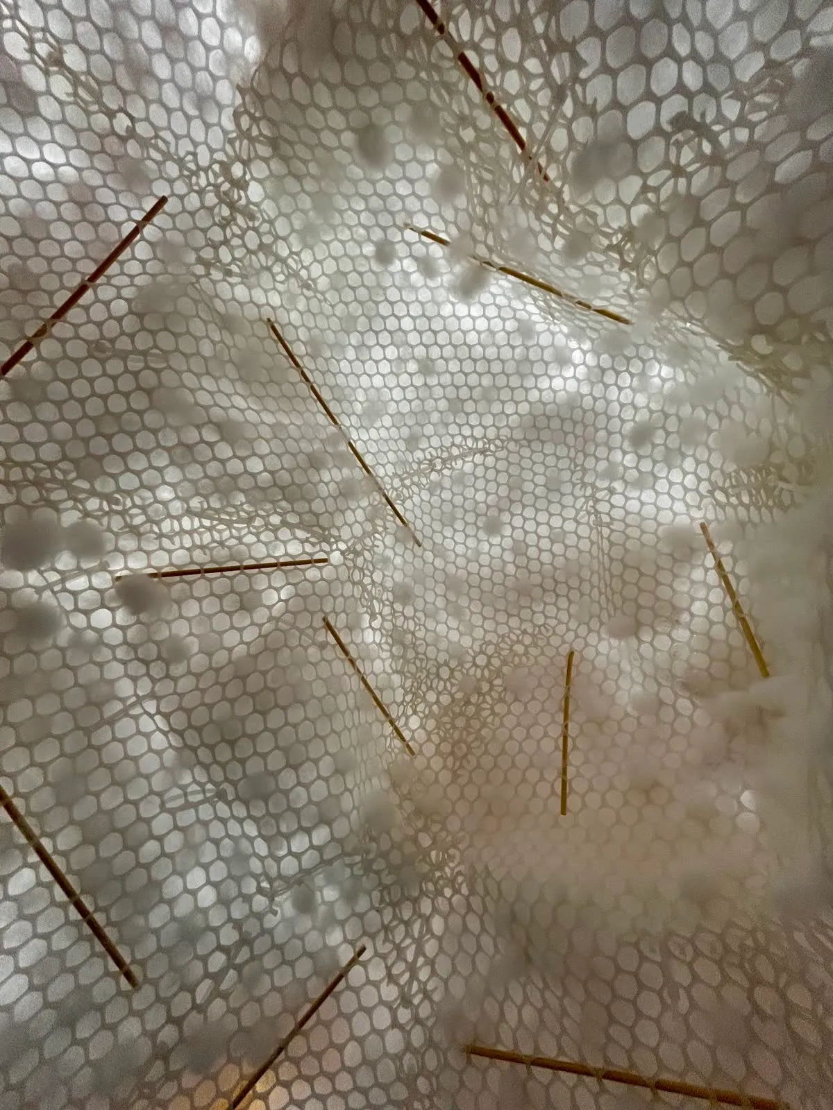 Close-up of fibre pressed against hexagonal mesh, held by bamboo skewers running through it