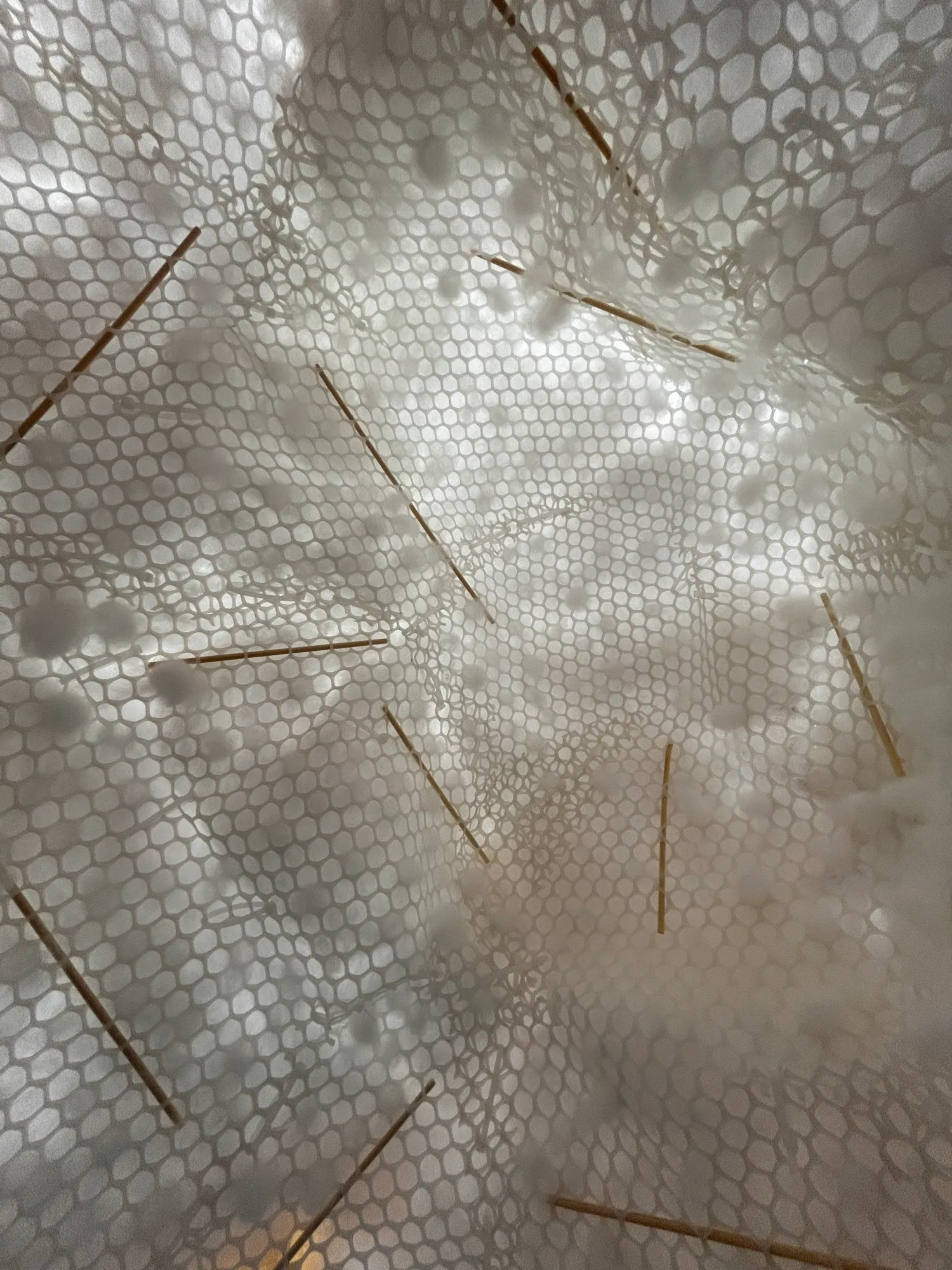 Looking up inside the lit shell: white hexagonal mesh, tufts of cotton and bamboo skewers.