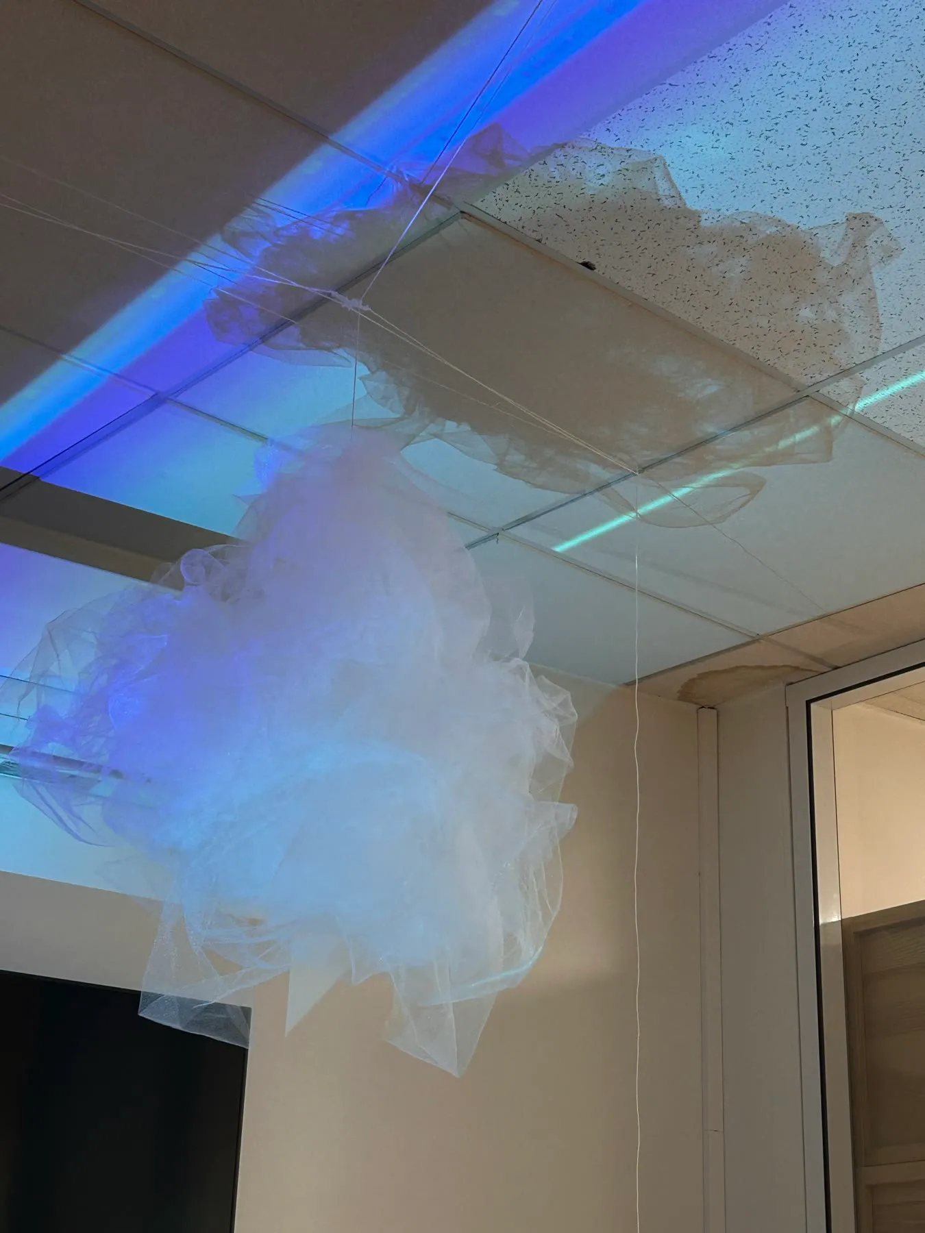 A tulle cloud hanging from a ceiling grid, lit in pale blue and green by a projector below.